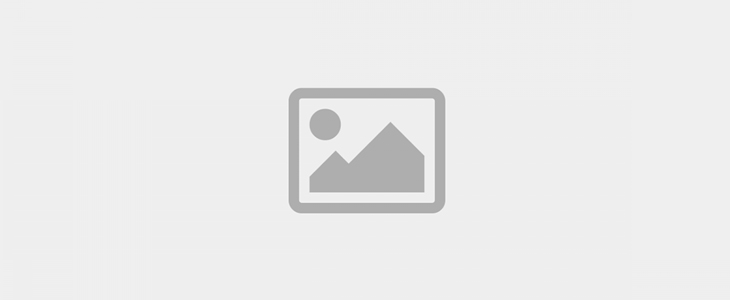 msvendor